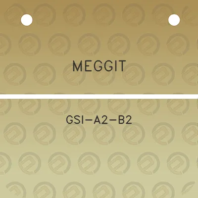 meggit-gsi-a2-b2