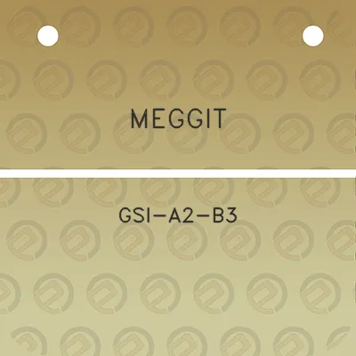 meggit-gsi-a2-b3