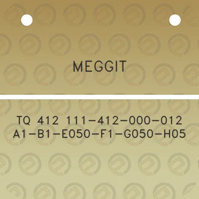 meggit-tq-412-111-412-000-012-a1-b1-e050-f1-g050-h05