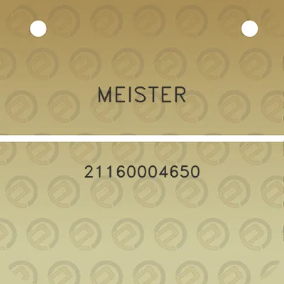 meister-21160004650