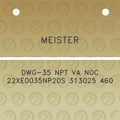 meister-dwg-35-npt-va-noc-22xe0035np20s-313025-460