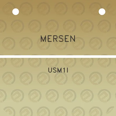 mersen-usm1i