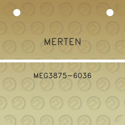 merten-meg3875-6036