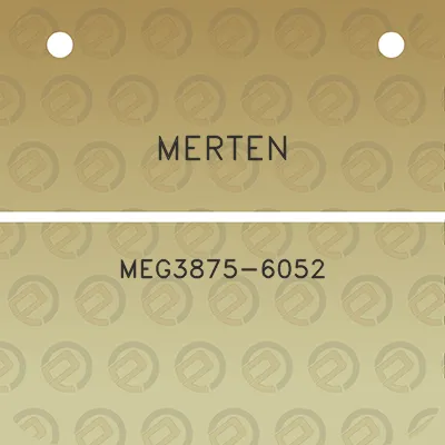 merten-meg3875-6052