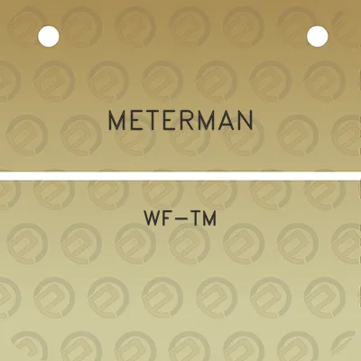 meterman-wf-tm