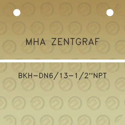 mha-zentgraf-bkh-dn613-12npt