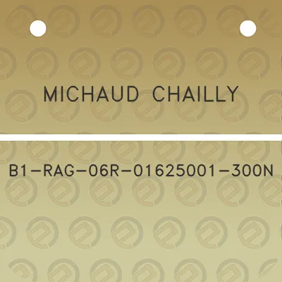 michaud-chailly-b1-rag-06r-01625001-300n