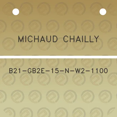 michaud-chailly-b21-gb2e-15-n-w2-1100