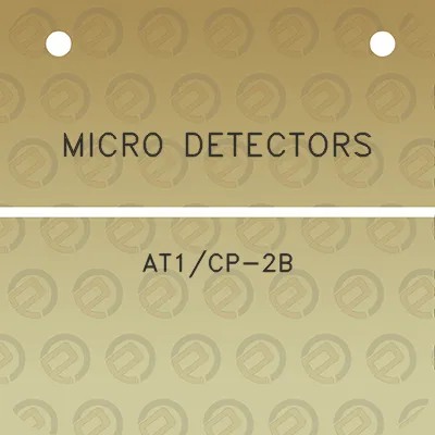 micro-detectors-at1cp-2b