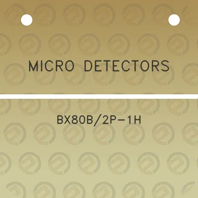 micro-detectors-bx80b2p-1h