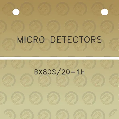 micro-detectors-bx80s20-1h