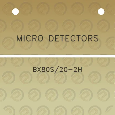 micro-detectors-bx80s20-2h