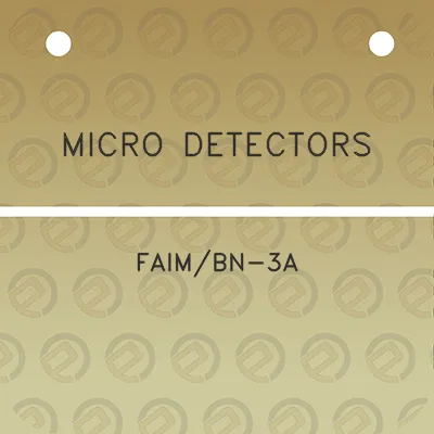 micro-detectors-faimbn-3a