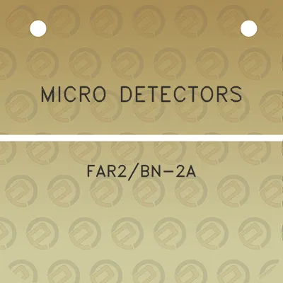 micro-detectors-far2bn-2a