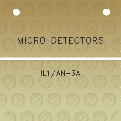 micro-detectors-il1an-3a