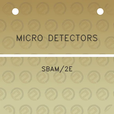 micro-detectors-sbam2e