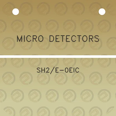 micro-detectors-sh2e-0eic