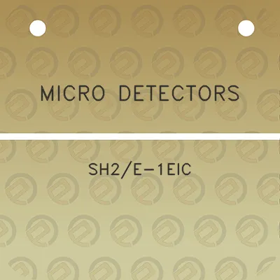 micro-detectors-sh2e-1eic