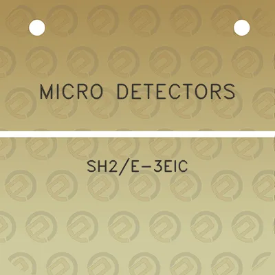 micro-detectors-sh2e-3eic