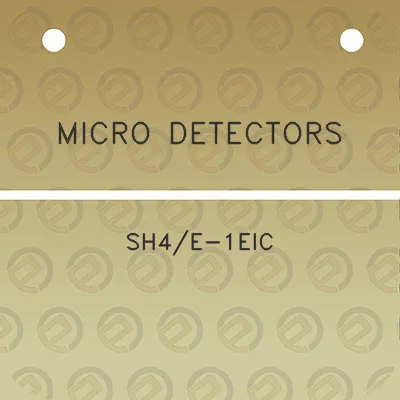 micro-detectors-sh4e-1eic