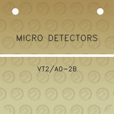 micro-detectors-vt2a0-2b