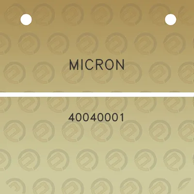 micron-40040001