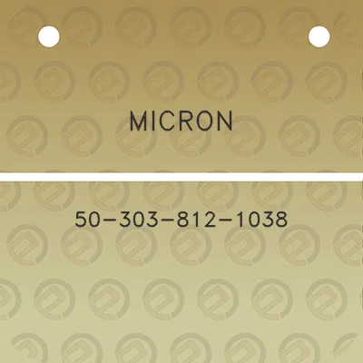 micron-50-303-812-1038