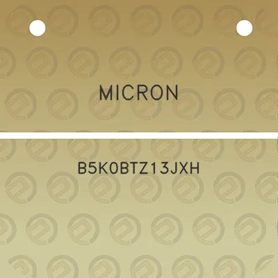 micron-b5k0btz13jxh