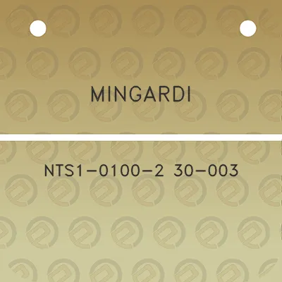 mingardi-nts1-0100-2-30-003