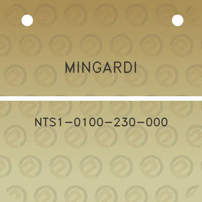 mingardi-nts1-0100-230-000