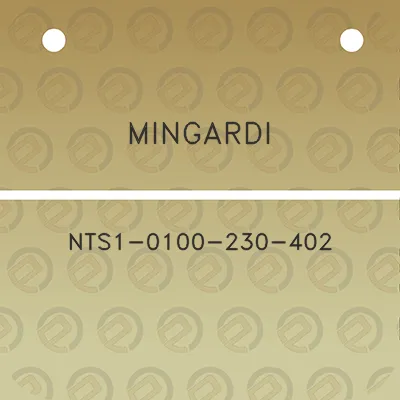 mingardi-nts1-0100-230-402