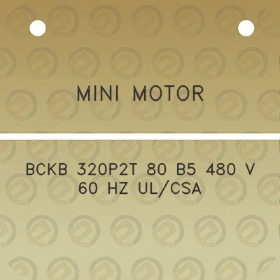 mini-motor-bckb-320p2t-80-b5-480-v-60-hz-ulcsa