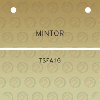 mintor-tsfa1g