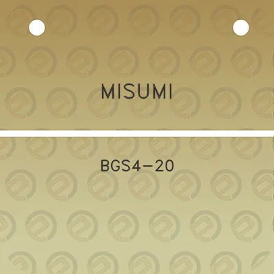 misumi-bgs4-20