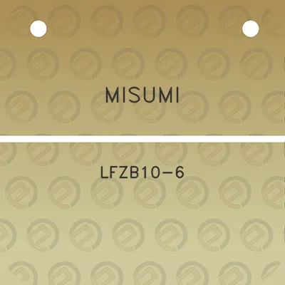 misumi-lfzb10-6