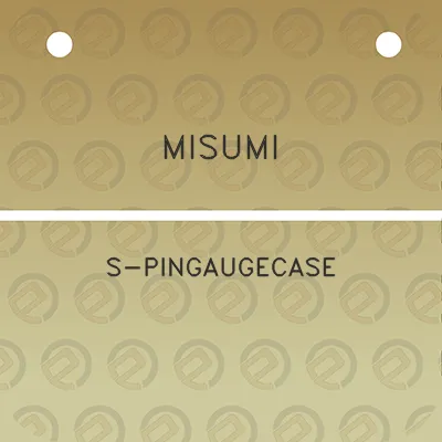 misumi-s-pingaugecase