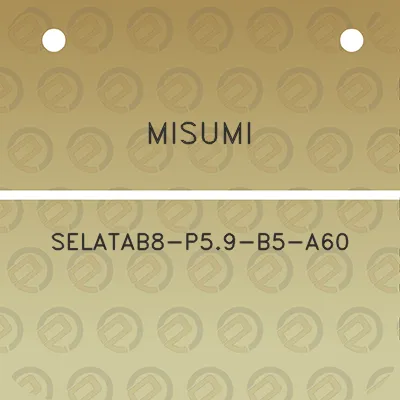 misumi-selatab8-p59-b5-a60