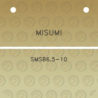 misumi-smsb65-10