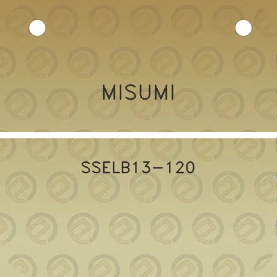 misumi-sselb13-120