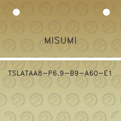 misumi-tslataa8-p69-b9-a60-e1