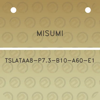 misumi-tslataa8-p73-b10-a60-e1