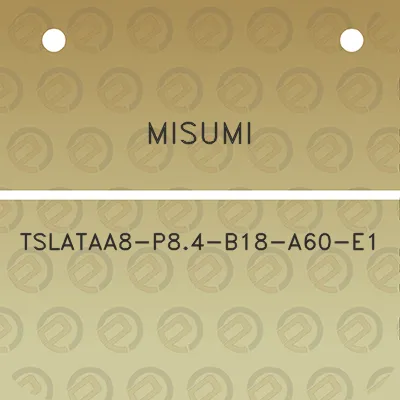 misumi-tslataa8-p84-b18-a60-e1