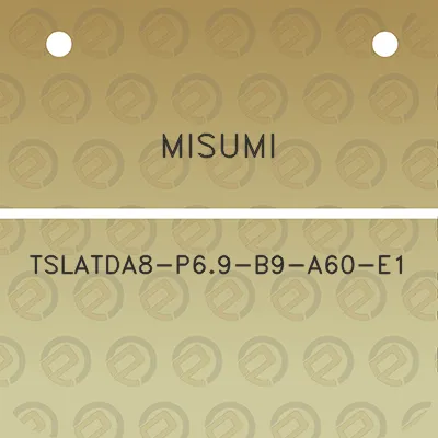 misumi-tslatda8-p69-b9-a60-e1