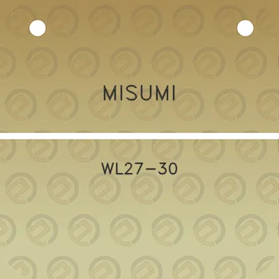 misumi-wl27-30