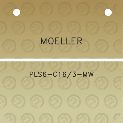 moeller-pls6-c163-mw