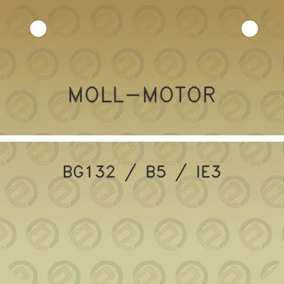 moll-motor-bg132-b5-ie3