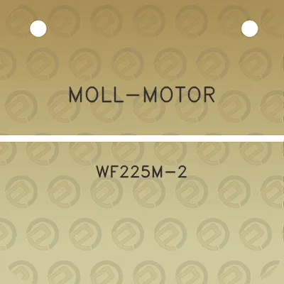 moll-motor-wf225m-2