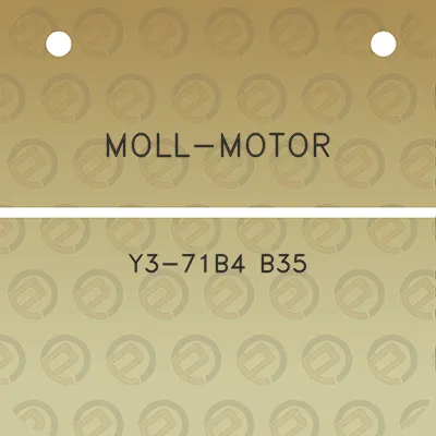 moll-motor-y3-71b4-b35