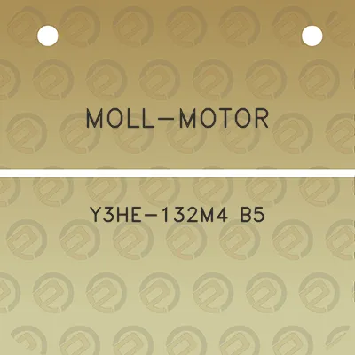 moll-motor-y3he-132m4-b5