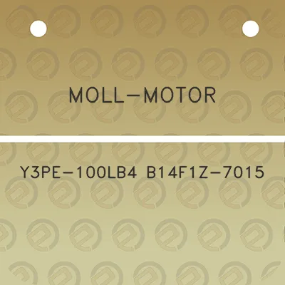 moll-motor-y3pe-100lb4-b14f1z-7015